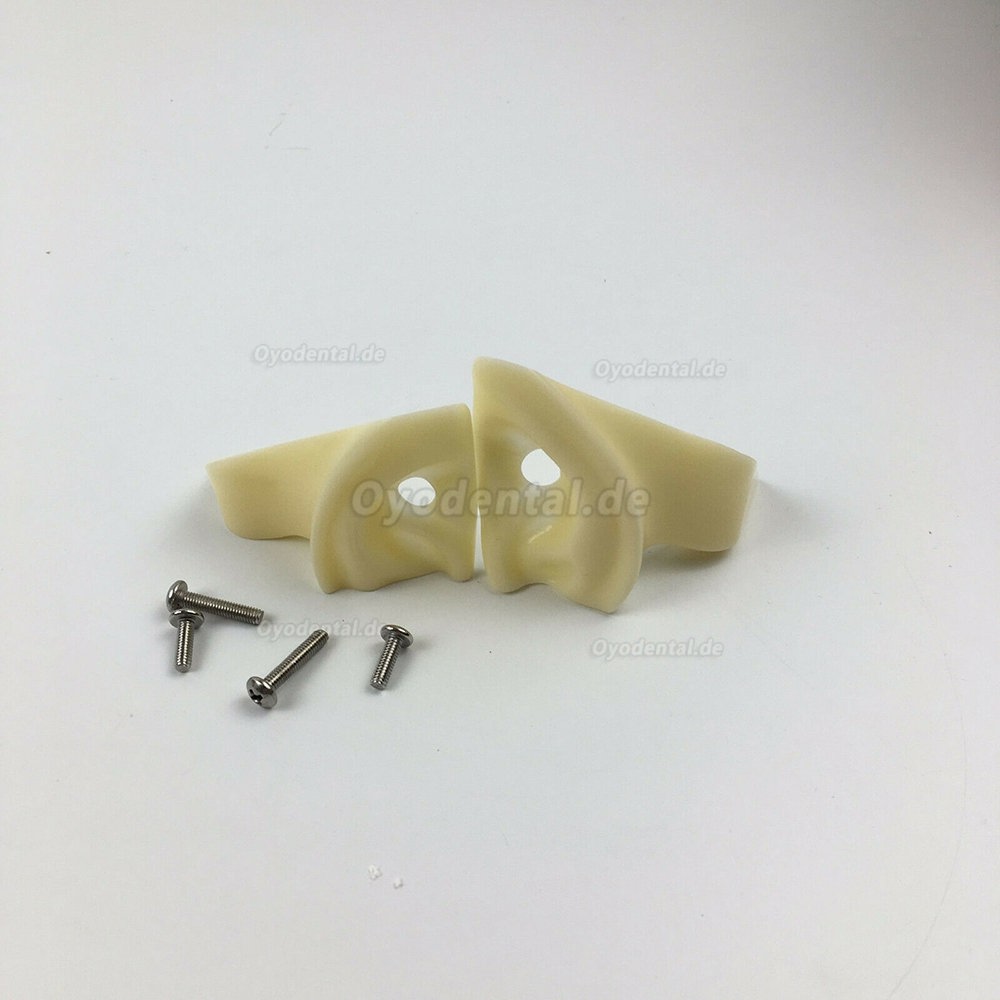 Jingle JG-C1 Dental Surgery Practice Model Head Clamp Type Simulation Phantom Head